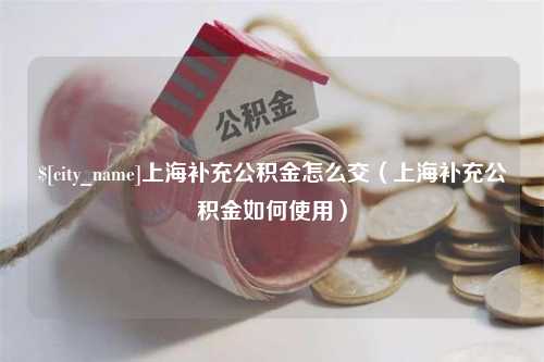 潮州上海补充公积金怎么交（上海补充公积金如何使用）